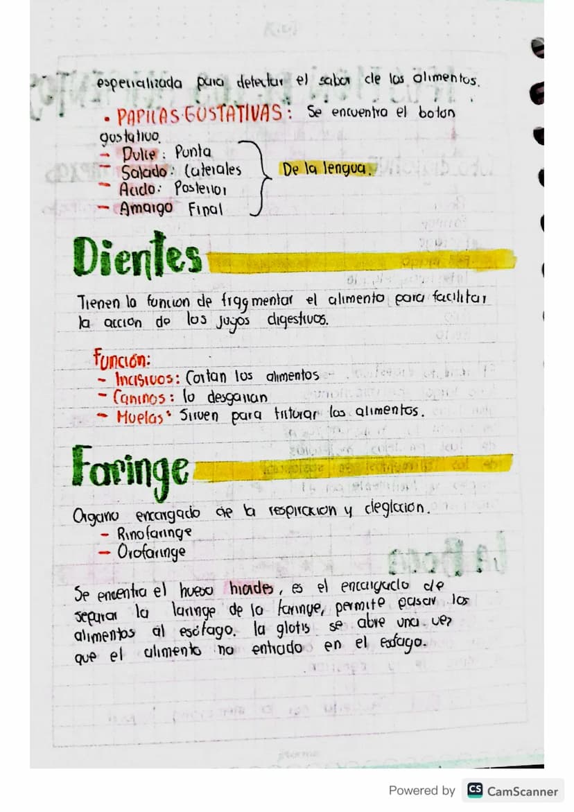 Sistenza
digestivo
APARATO: Diferentes organos con estructuras
diferentes que se unen para realizar actividades
especificas.
ألوان
me
Powere
