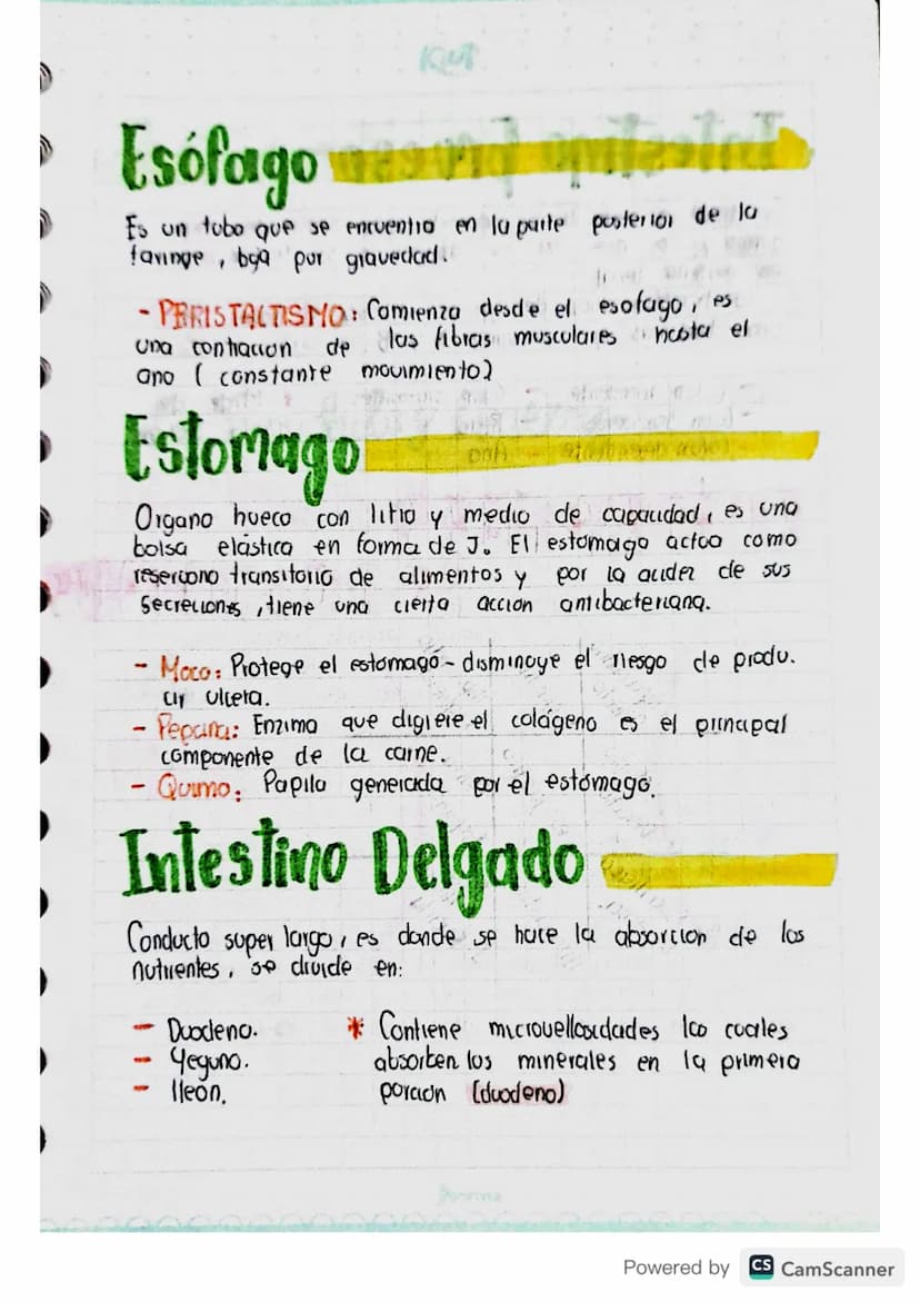 Sistenza
digestivo
APARATO: Diferentes organos con estructuras
diferentes que se unen para realizar actividades
especificas.
ألوان
me
Powere