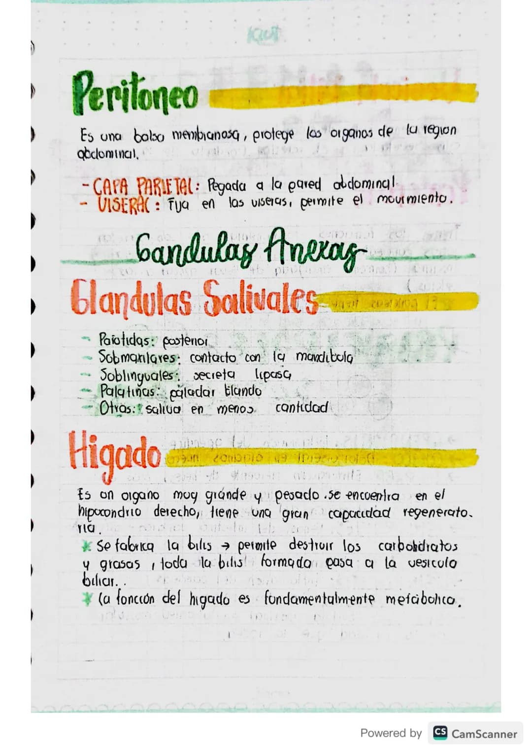 Sistenza
digestivo
APARATO: Diferentes organos con estructuras
diferentes que se unen para realizar actividades
especificas.
ألوان
me
Powere