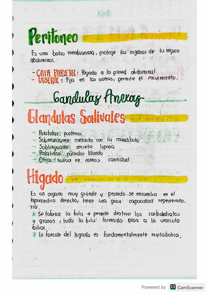 Sistenza
digestivo
APARATO: Diferentes organos con estructuras
diferentes que se unen para realizar actividades
especificas.
ألوان
me
Powere
