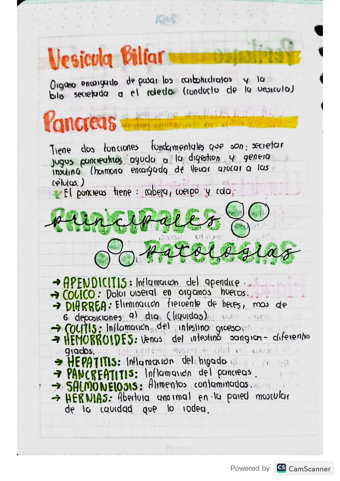 Sistenza
digestivo
APARATO: Diferentes organos con estructuras
diferentes que se unen para realizar actividades
especificas.
ألوان
me
Powere