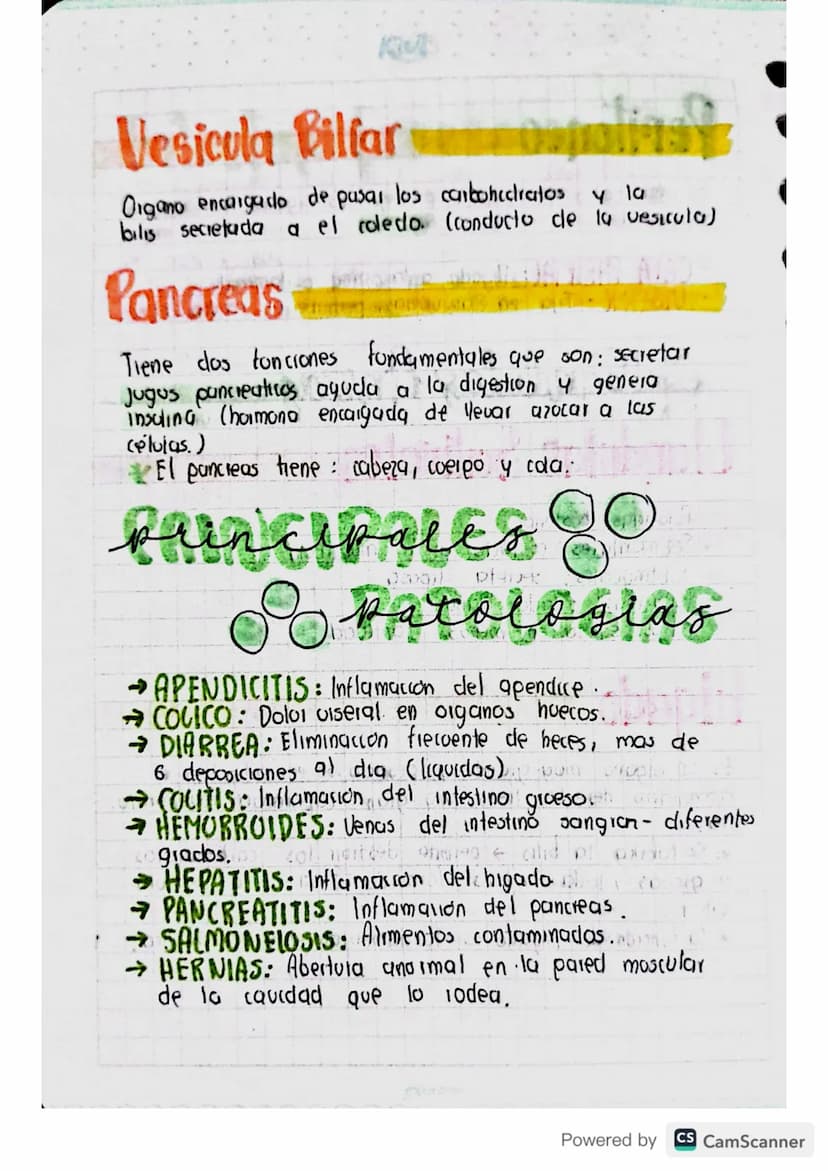 Sistenza
digestivo
APARATO: Diferentes organos con estructuras
diferentes que se unen para realizar actividades
especificas.
ألوان
me
Powere
