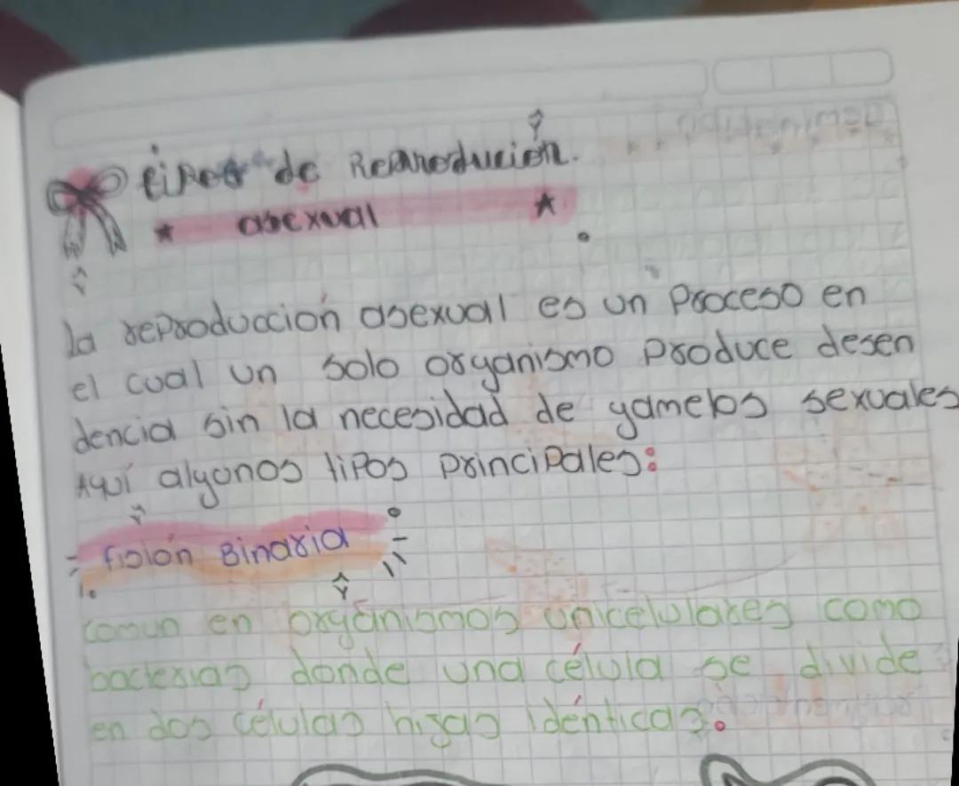 Apunte de reproduccion asexual