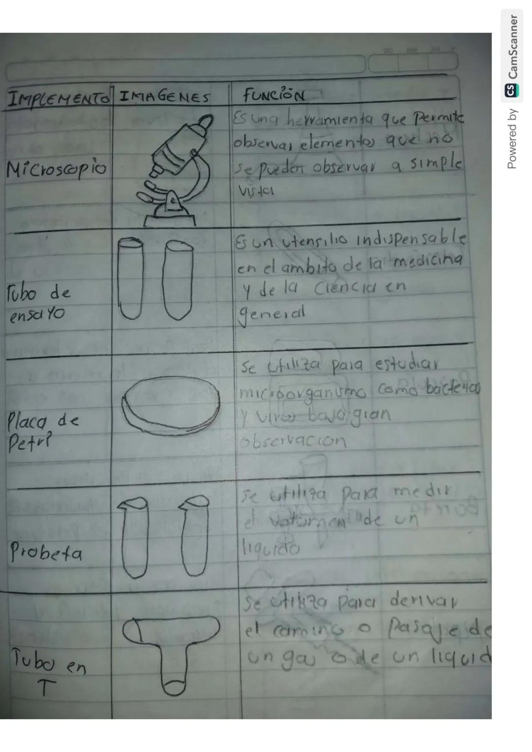 Química: Herramientas Básicas de Laboratorio