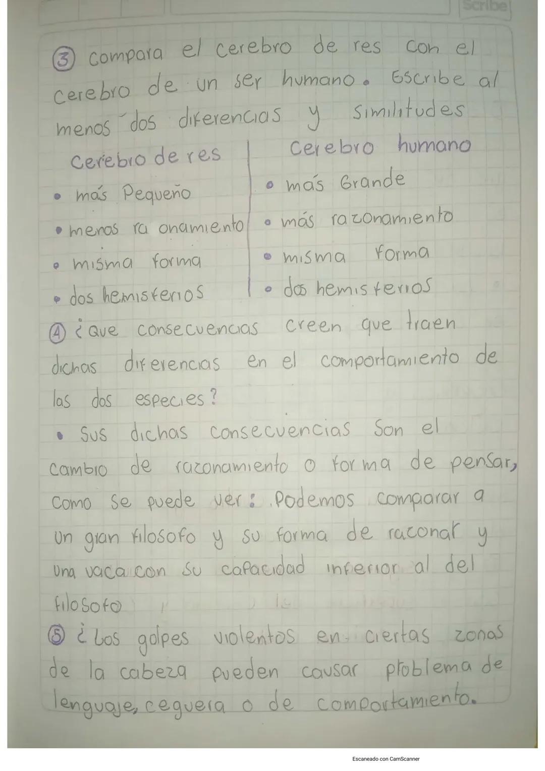 Scribe

Solución
corteza Cerebral

①
Lobulo
Parietal

Lobulo
Frontal

کے انعاما
Temporal
Cisura
Longitudinal

-7
Lóbulo
Joccipital

-7 Cereb