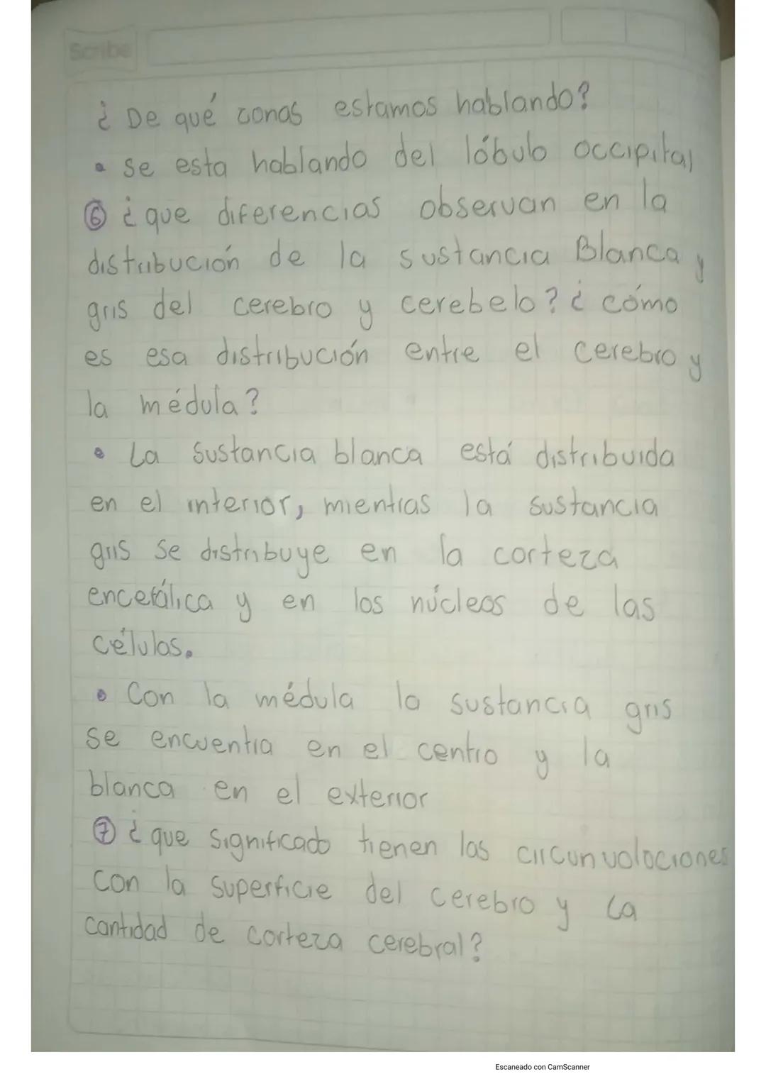 Scribe

Solución
corteza Cerebral

①
Lobulo
Parietal

Lobulo
Frontal

کے انعاما
Temporal
Cisura
Longitudinal

-7
Lóbulo
Joccipital

-7 Cereb