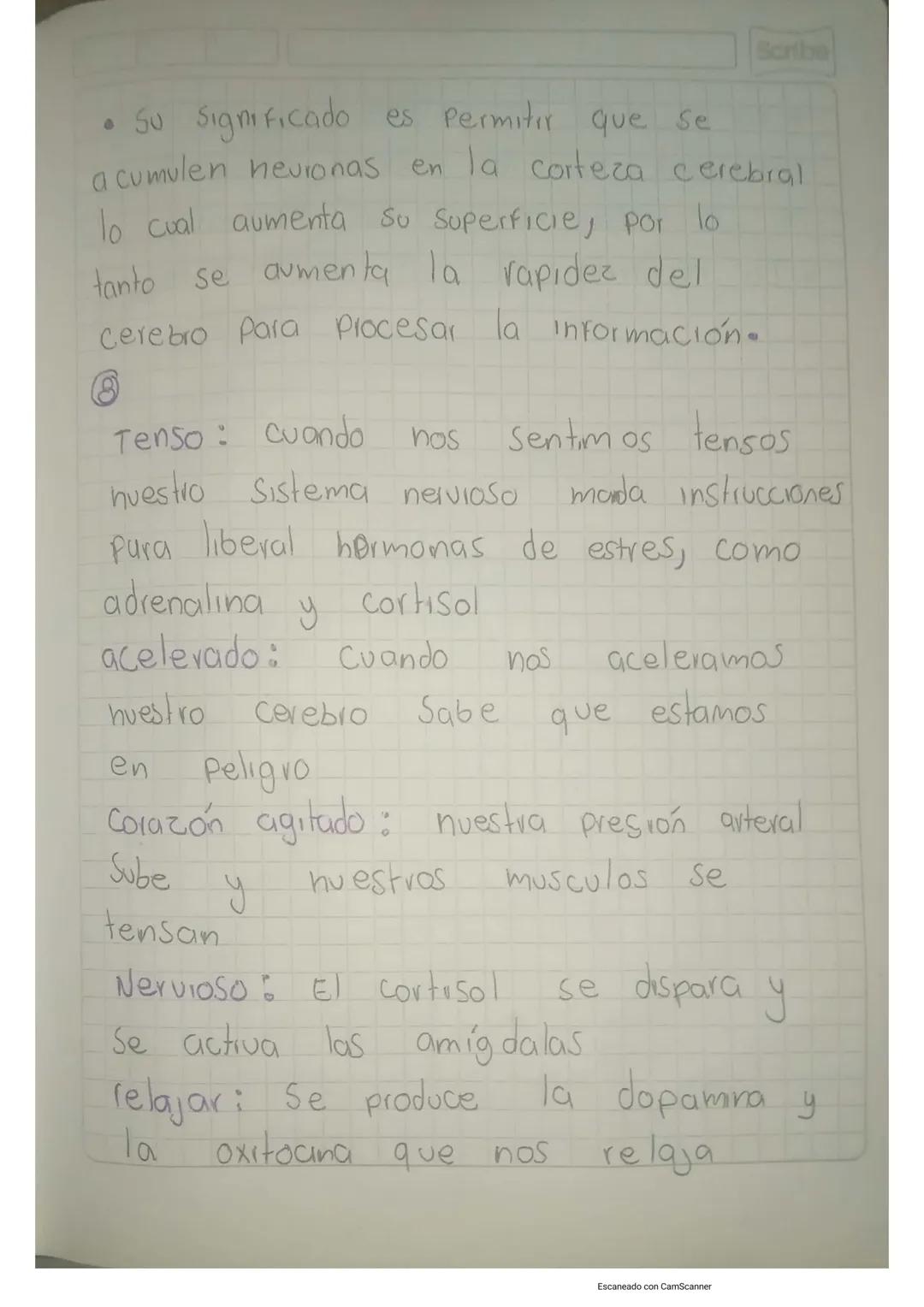 Scribe

Solución
corteza Cerebral

①
Lobulo
Parietal

Lobulo
Frontal

کے انعاما
Temporal
Cisura
Longitudinal

-7
Lóbulo
Joccipital

-7 Cereb