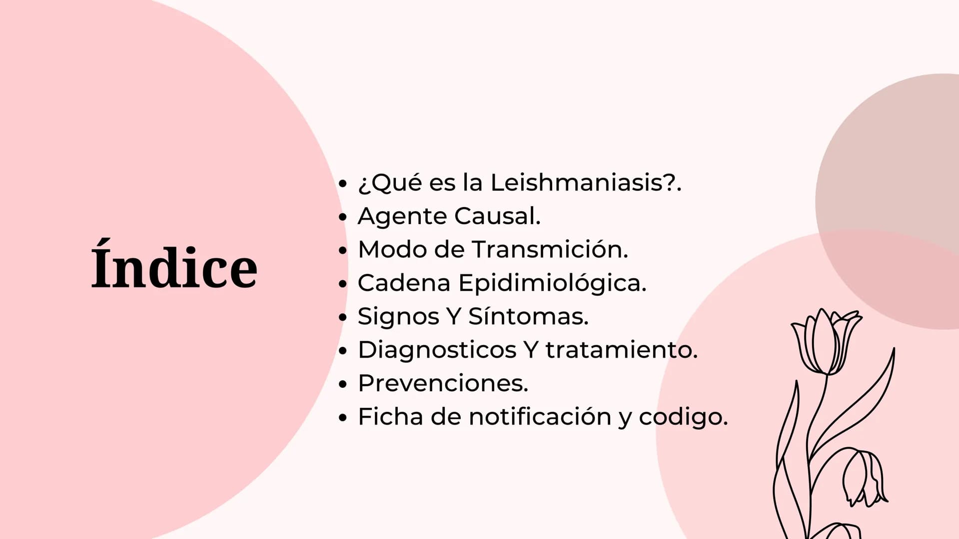 Índice
•
¿Qué es la Leishmaniasis?.
Agente Causal.
• Modo de Transmición.
• Cadena Epidimiológica.
•
Signos Y Síntomas.
Diagnosticos Y trata