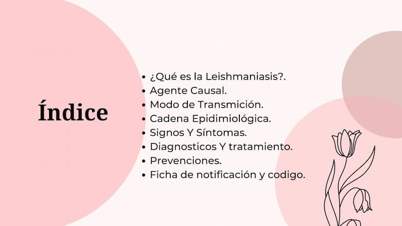 Índice
•
¿Qué es la Leishmaniasis?.
Agente Causal.
• Modo de Transmición.
• Cadena Epidimiológica.
•
Signos Y Síntomas.
Diagnosticos Y trata
