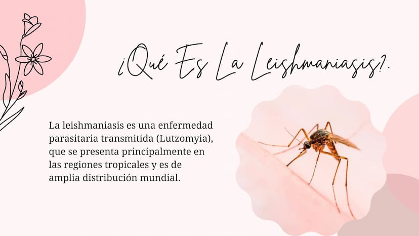 Índice
•
¿Qué es la Leishmaniasis?.
Agente Causal.
• Modo de Transmición.
• Cadena Epidimiológica.
•
Signos Y Síntomas.
Diagnosticos Y trata