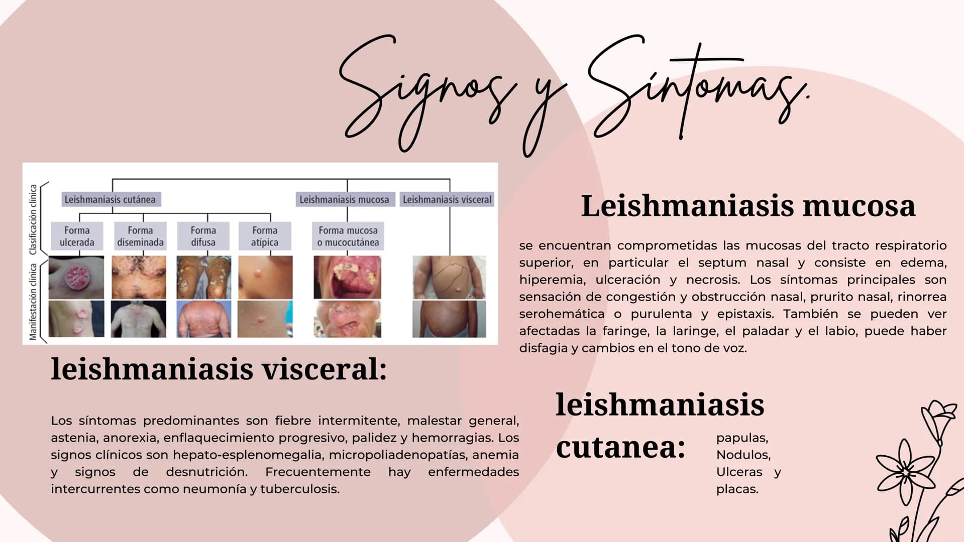 Índice
•
¿Qué es la Leishmaniasis?.
Agente Causal.
• Modo de Transmición.
• Cadena Epidimiológica.
•
Signos Y Síntomas.
Diagnosticos Y trata