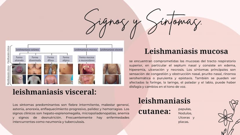 Índice
•
¿Qué es la Leishmaniasis?.
Agente Causal.
• Modo de Transmición.
• Cadena Epidimiológica.
•
Signos Y Síntomas.
Diagnosticos Y trata