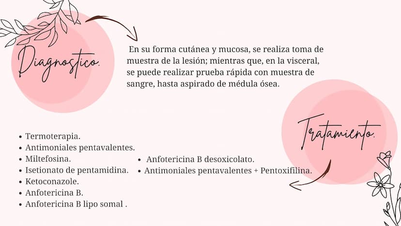 Índice
•
¿Qué es la Leishmaniasis?.
Agente Causal.
• Modo de Transmición.
• Cadena Epidimiológica.
•
Signos Y Síntomas.
Diagnosticos Y trata