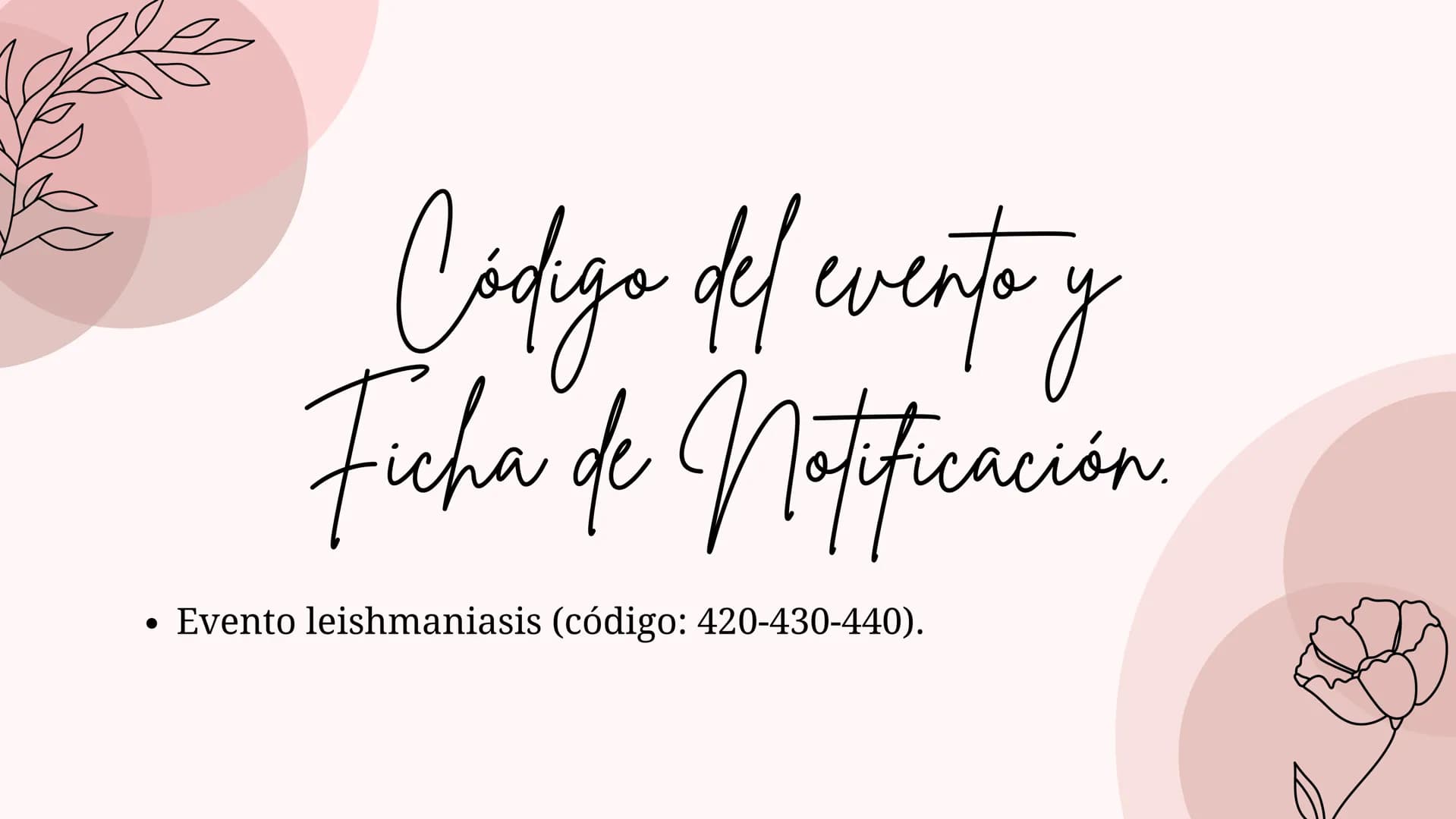 Índice
•
¿Qué es la Leishmaniasis?.
Agente Causal.
• Modo de Transmición.
• Cadena Epidimiológica.
•
Signos Y Síntomas.
Diagnosticos Y trata