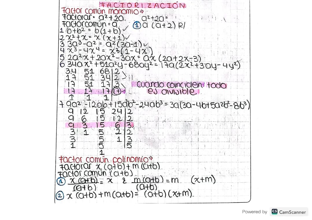 Factorización