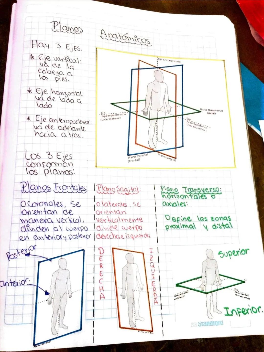 Planes
Hay 3 Ejes.
Eje vertical:
va de la
cabeza a
los pies.
* Eje horizontal:
va de lado a
lado
Eje anteroposterior:
va de adelante
hacia a
