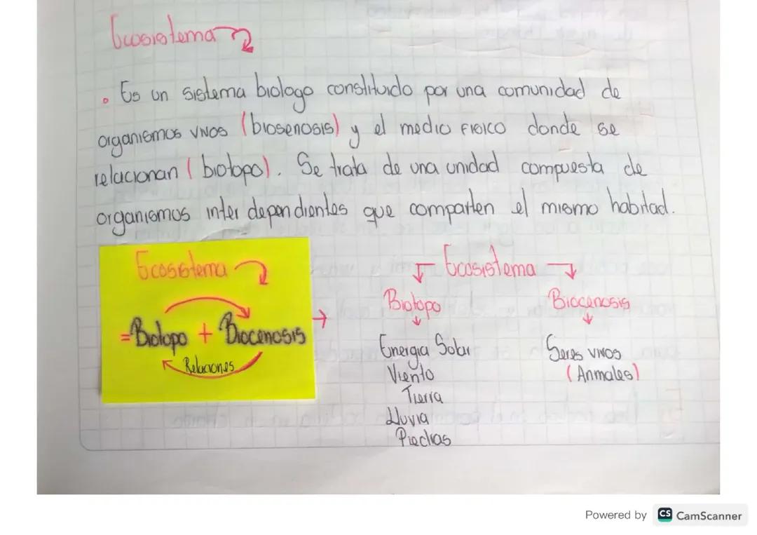 biotopo y biocenosis , biología 