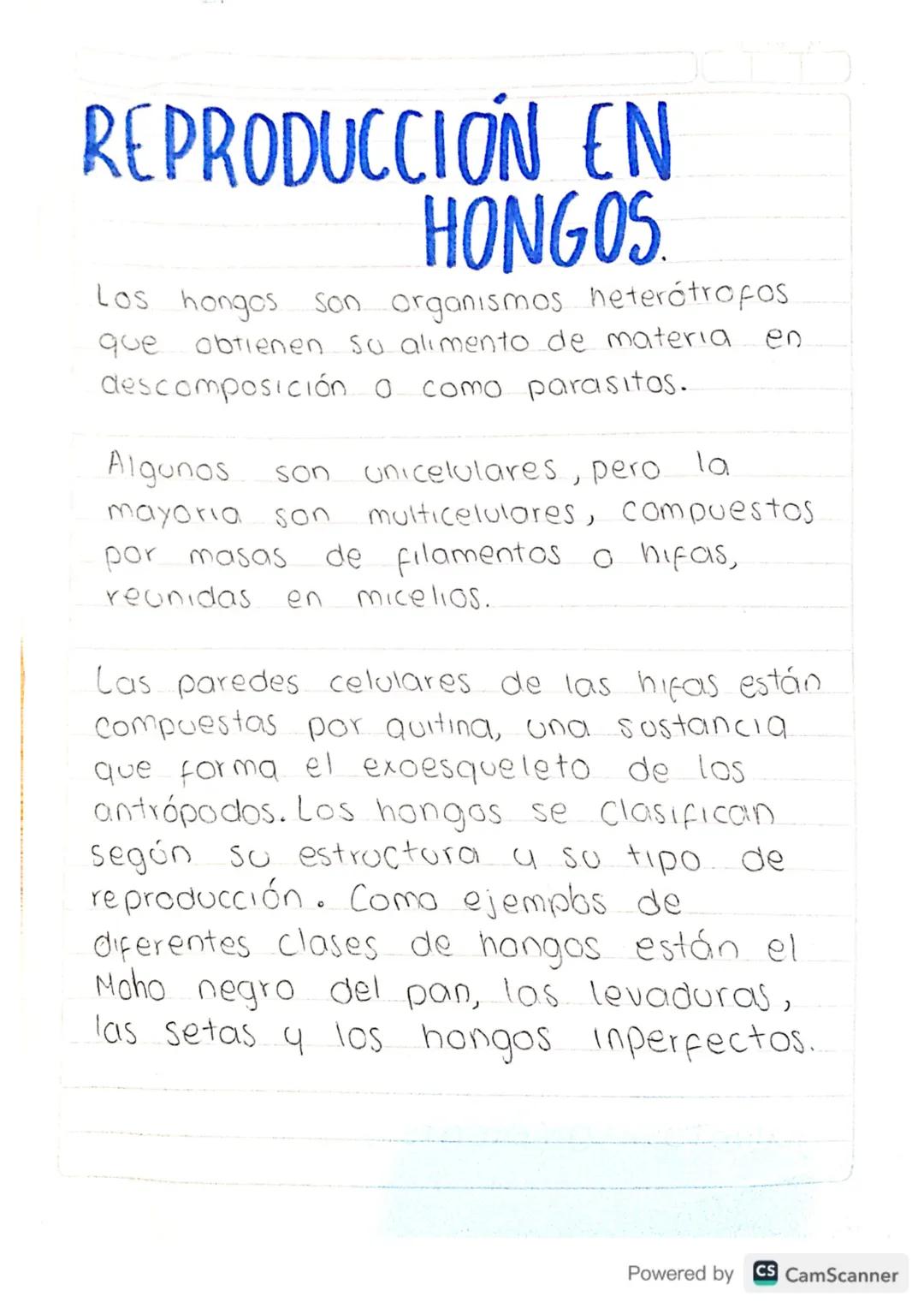 # REPRODUCCIÓN EN
HONGOS

Los hongos son organismos heterotrofos
que obtienen su alimento de materia en
descomposición a como parasitos.

Al