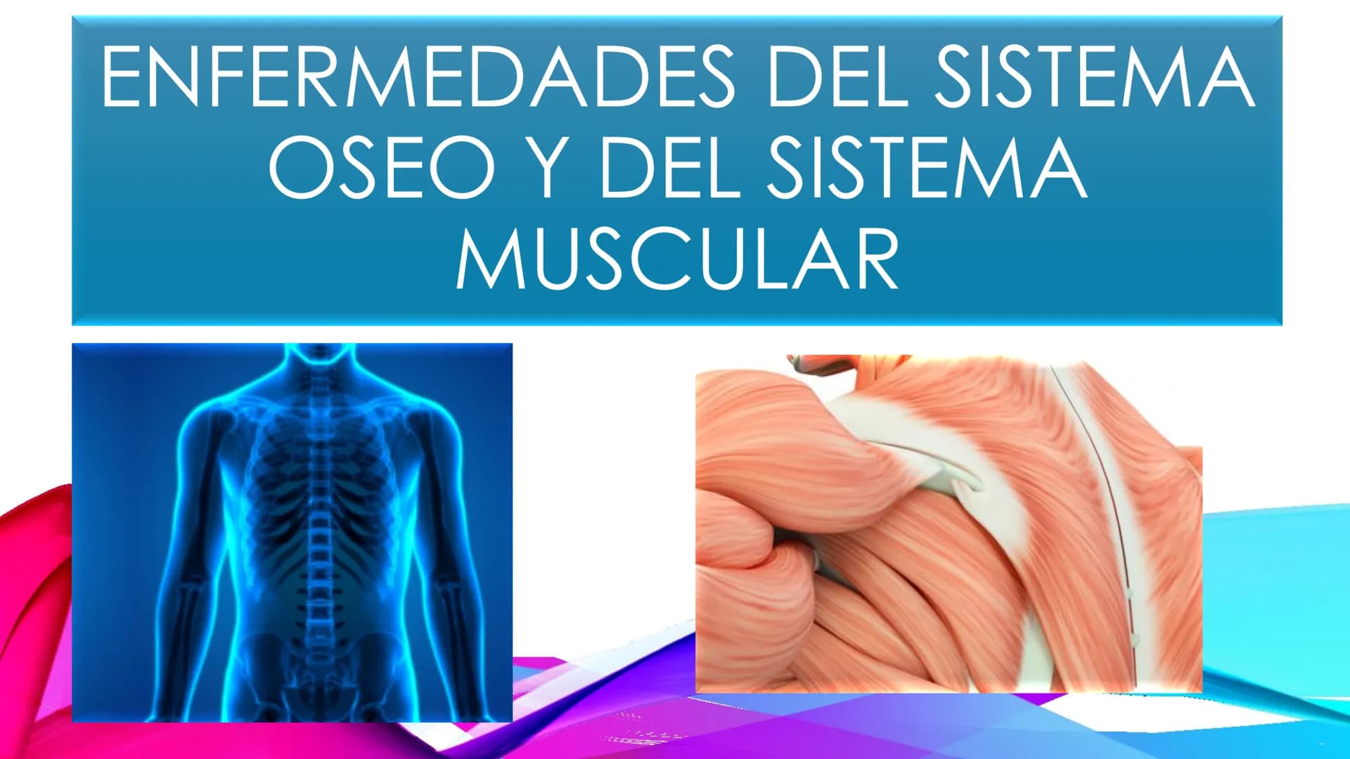 EL TEJIDO MUSCULAR
Músculos faciales
Esternocleidomastoideo
Trapecios
Clavicula
Deltoide
Pectorales
Biceps braquial.
Braquiorradial
Flexores