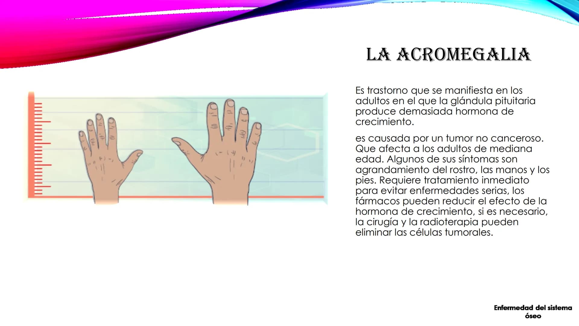 EL TEJIDO MUSCULAR
Músculos faciales
Esternocleidomastoideo
Trapecios
Clavicula
Deltoide
Pectorales
Biceps braquial.
Braquiorradial
Flexores