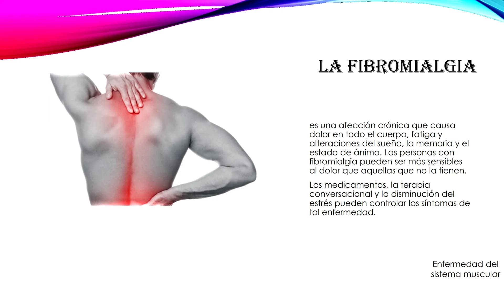 EL TEJIDO MUSCULAR
Músculos faciales
Esternocleidomastoideo
Trapecios
Clavicula
Deltoide
Pectorales
Biceps braquial.
Braquiorradial
Flexores