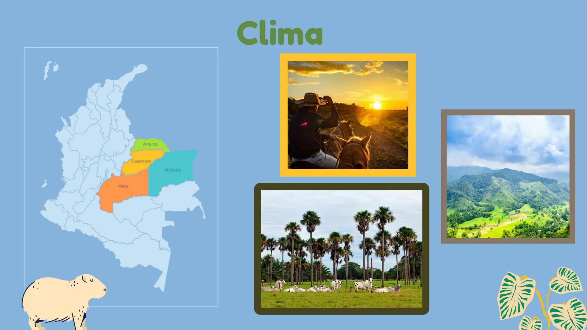 # Departamentos

*   Arauca
*   Meta
*   Vichada
*   Casanare # Limites y relieve

Región Andina

Páramo de
Sumapaz

R. Manacacias

Sierra d