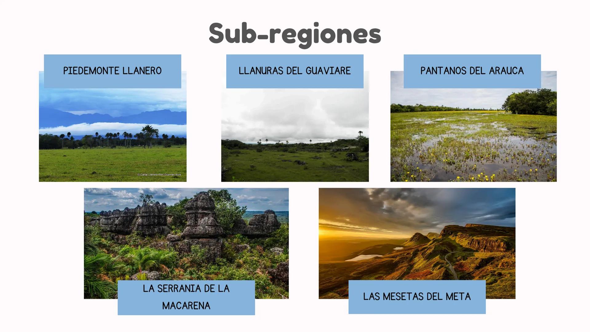 # Departamentos

*   Arauca
*   Meta
*   Vichada
*   Casanare # Limites y relieve

Región Andina

Páramo de
Sumapaz

R. Manacacias

Sierra d