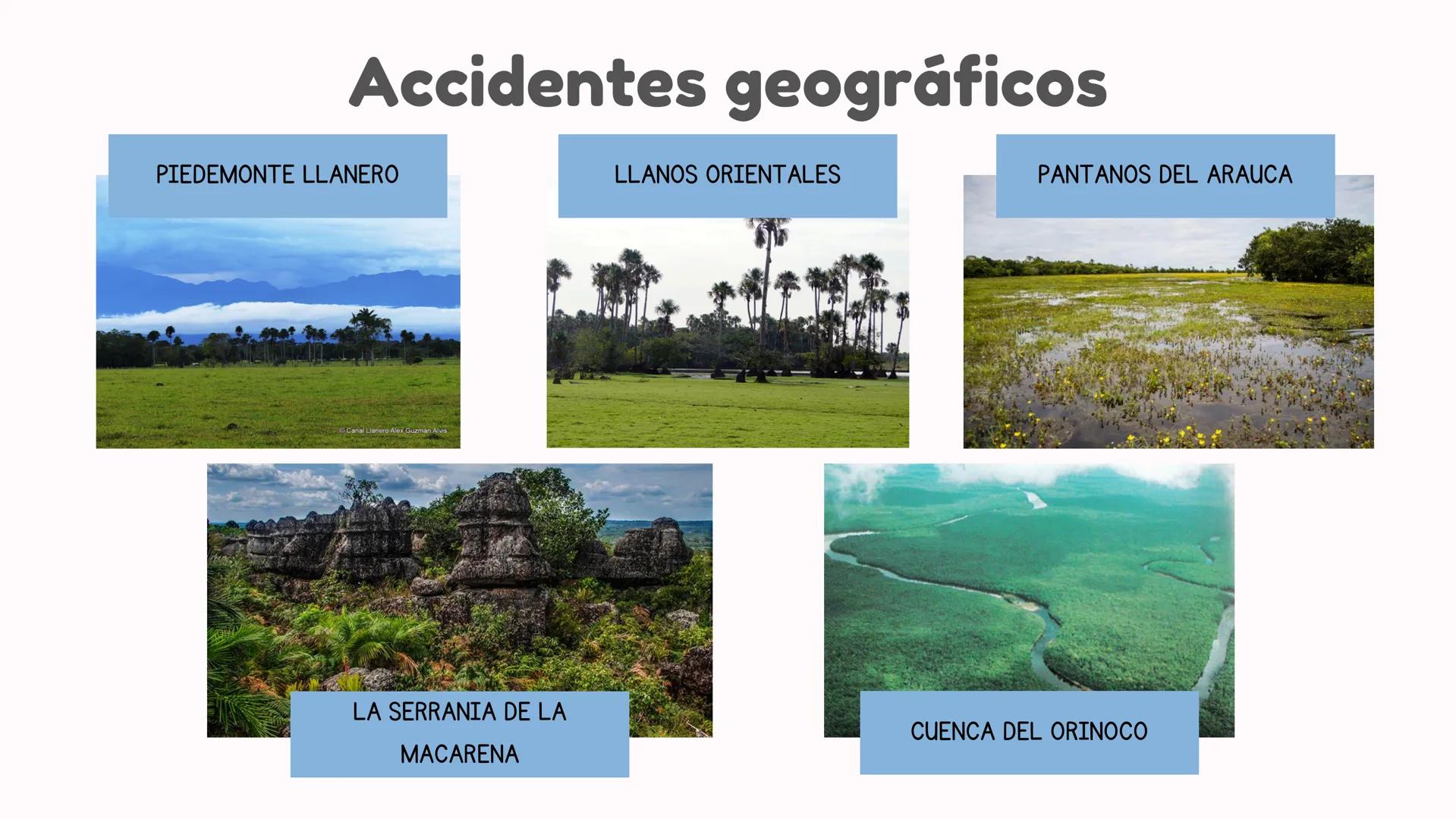 # Departamentos

*   Arauca
*   Meta
*   Vichada
*   Casanare # Limites y relieve

Región Andina

Páramo de
Sumapaz

R. Manacacias

Sierra d