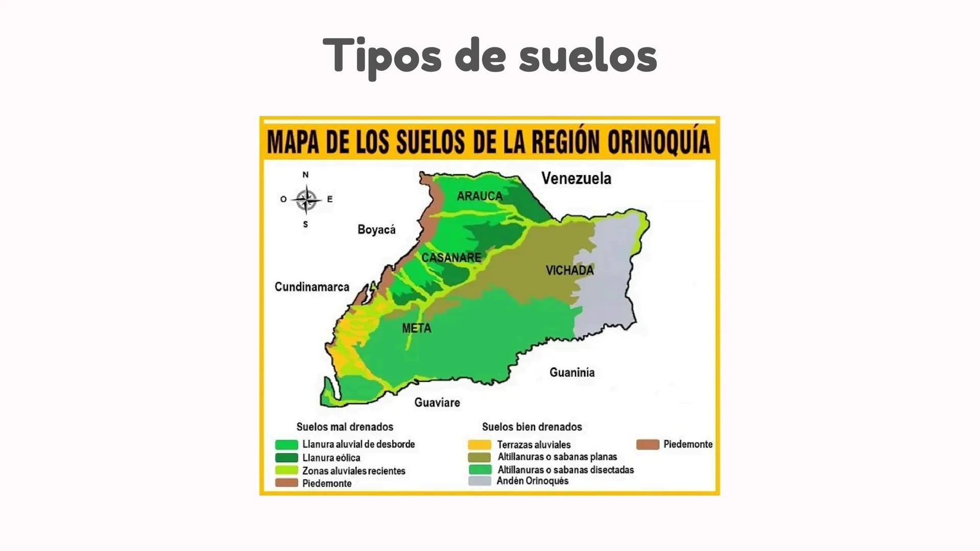 # Departamentos

*   Arauca
*   Meta
*   Vichada
*   Casanare # Limites y relieve

Región Andina

Páramo de
Sumapaz

R. Manacacias

Sierra d