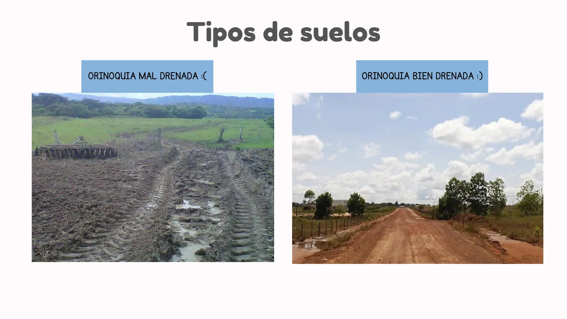 # Departamentos

*   Arauca
*   Meta
*   Vichada
*   Casanare # Limites y relieve

Región Andina

Páramo de
Sumapaz

R. Manacacias

Sierra d