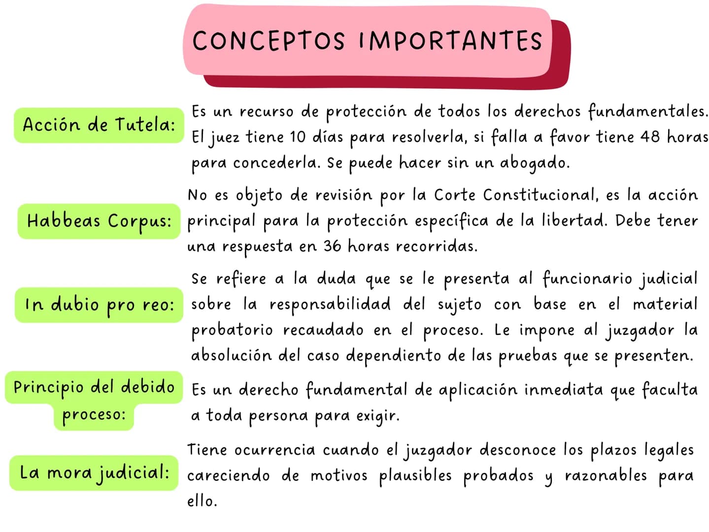 ARTÍCULO 4
La Constitución es norma de normas. En
todo caso de incompatibilidad entre la
Constitución y la ley u otra norma jurídica,
se apl