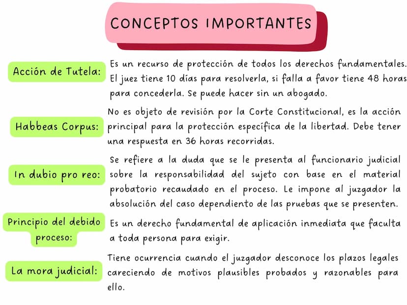 ARTÍCULO 4
La Constitución es norma de normas. En
todo caso de incompatibilidad entre la
Constitución y la ley u otra norma jurídica,
se apl