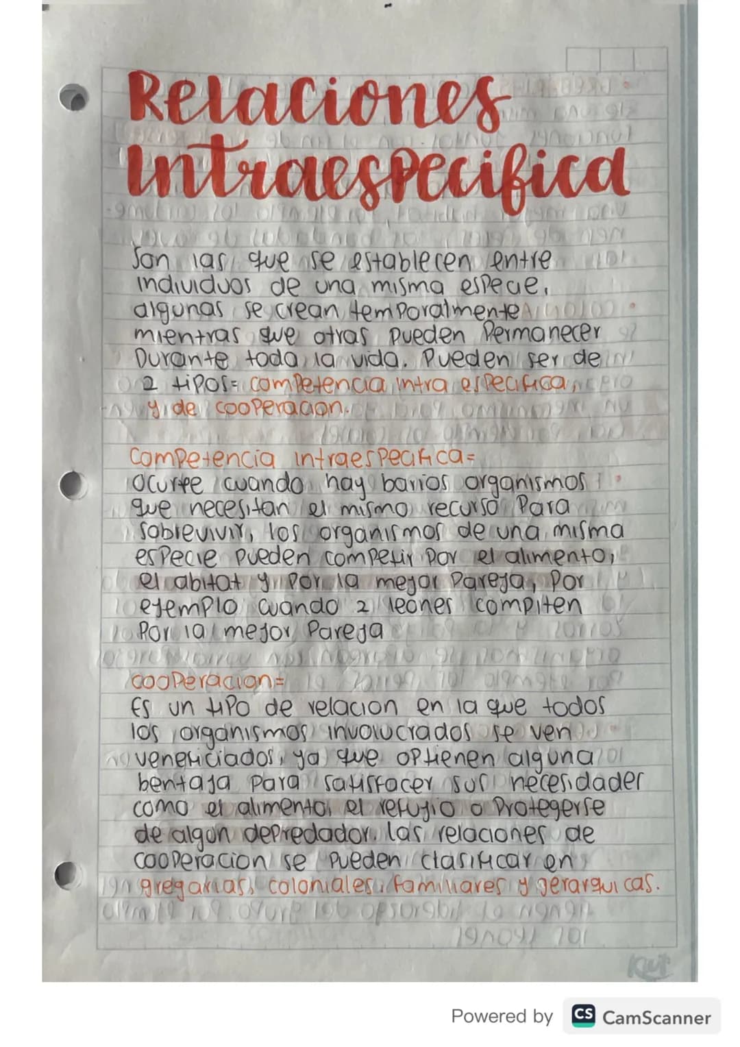 Relaciones ecologícas 