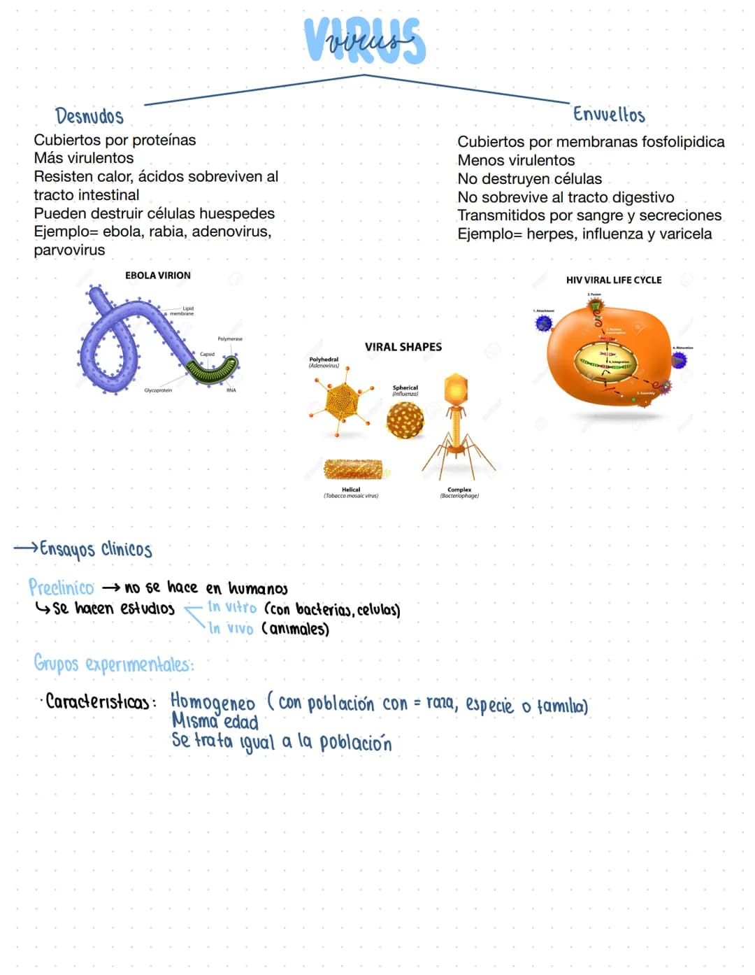 Clase 2
ENTORNO Y DIVERSIDAD
¿Que es el entorno? Es todo lo que nos rodea ya sea con vida o no
Triada ecológica
Huésped
Agente causal
Enferm
