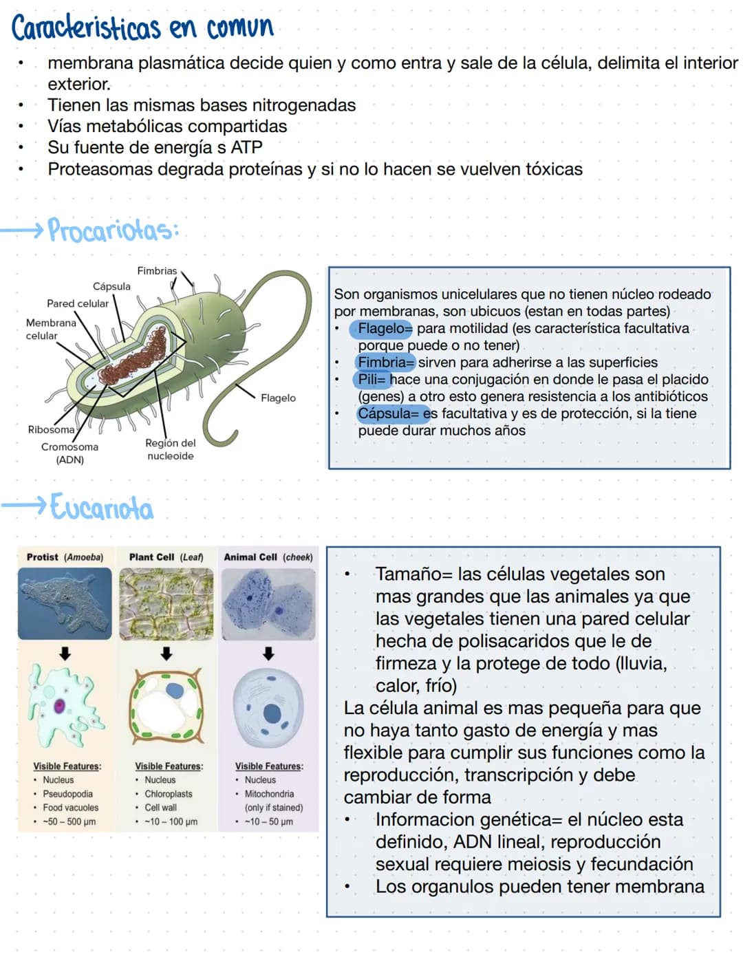 Clase 2
ENTORNO Y DIVERSIDAD
¿Que es el entorno? Es todo lo que nos rodea ya sea con vida o no
Triada ecológica
Huésped
Agente causal
Enferm