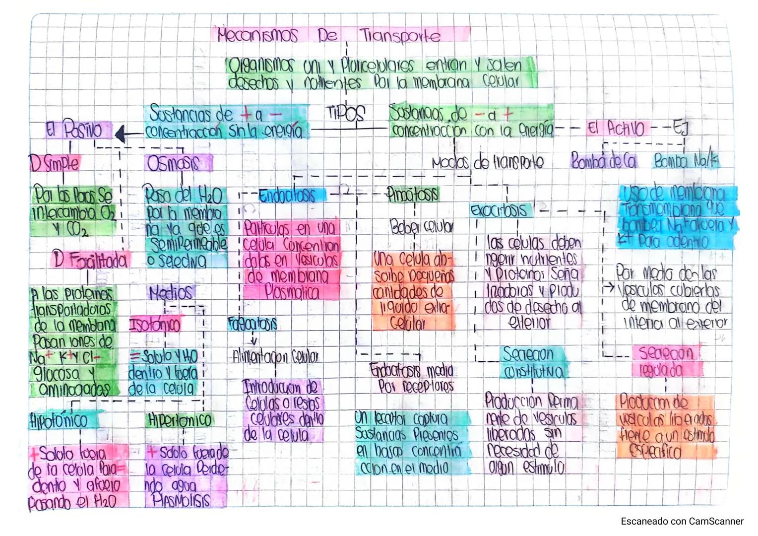 Mecanismos De Tiansporte
Organismos on y Ploncelulares entran y salen
desechos y notmentes por la membrana celular
TIPOS Sustancias do -a +
