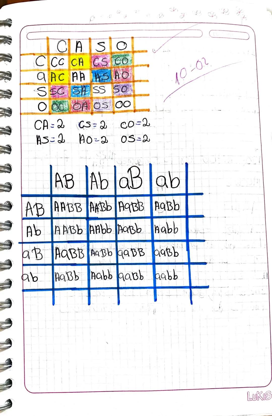 CASO
CCC CA CS CO
AAC AA ASIAO
SSC S SS SO
10-02
OCCOA OS 00
CA = 2 CS=2 CO=2
AS-2
A0=2 05=2
AB Ababab
AB AABB AABB A9BB AaBb
Ab AABb AAbb A