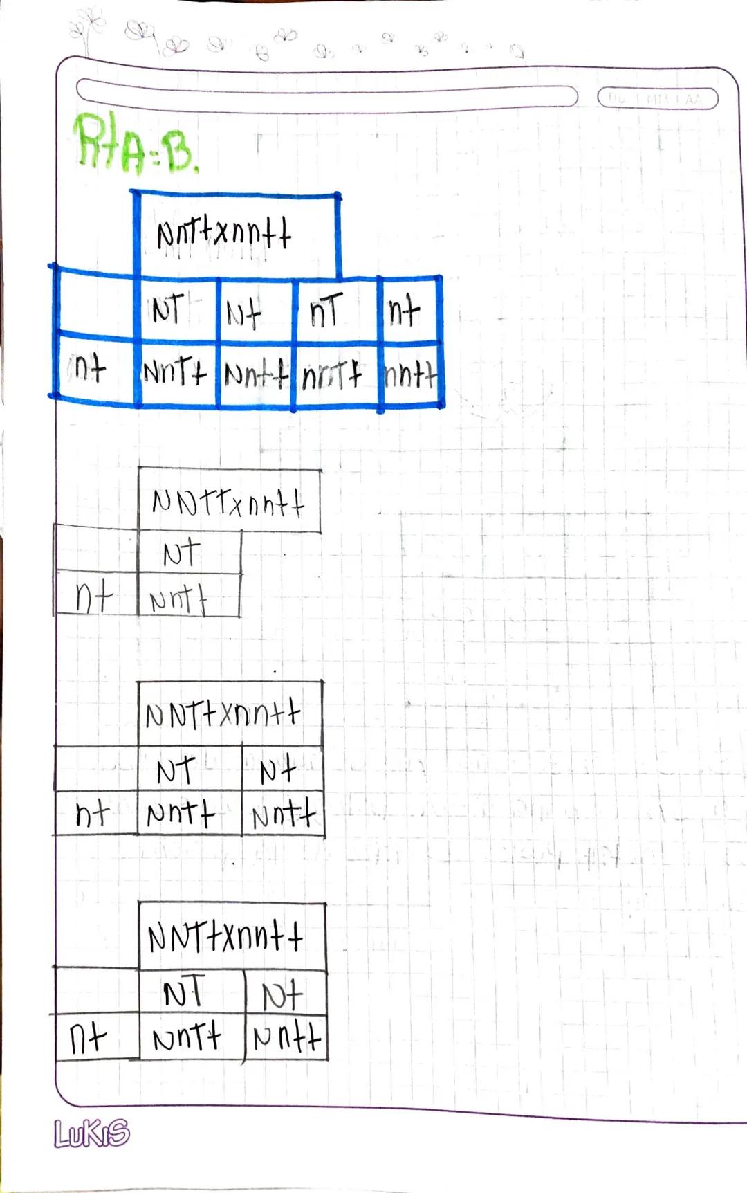 CASO
CCC CA CS CO
AAC AA ASIAO
SSC S SS SO
10-02
OCCOA OS 00
CA = 2 CS=2 CO=2
AS-2
A0=2 05=2
AB Ababab
AB AABB AABB A9BB AaBb
Ab AABb AAbb A