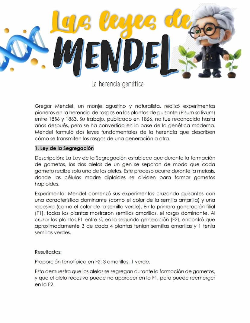 Las leyes de
MENDEL
La herencia genética
Gregor Mendel, un monje agustino y naturalista, realizó experimentos
pioneros en la herencia de ras