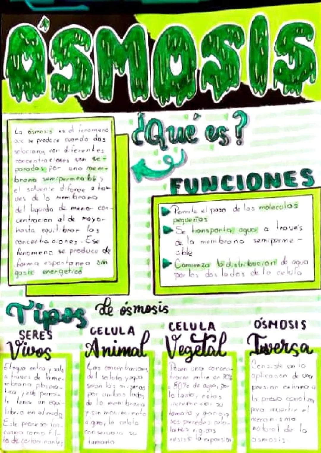 # OSMOSIS

La eismosis es el feromeno
Que se pradore cuando das
solacions con diferentes.
concentrationes son se-
poradas por uno mem-
brane
