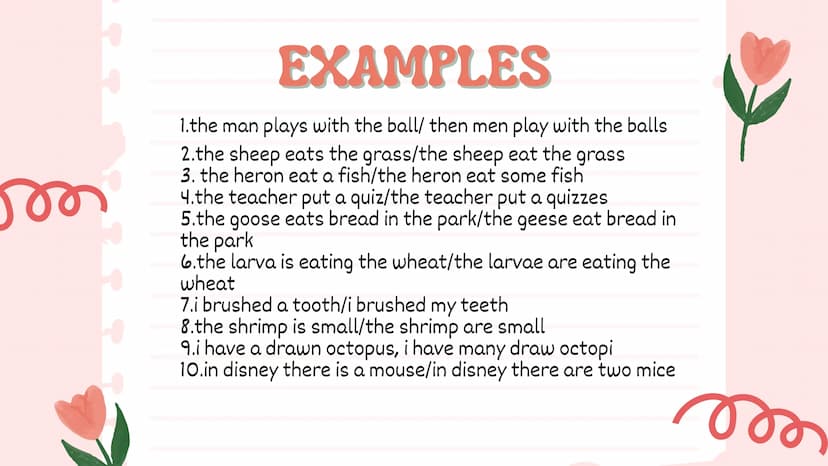Nouns
Julieth Ximena Doncel Torres 11-1 MAIN OBJETIVE
the main objective of the text is to
demonstrate regular and irregular nouns,
to show 