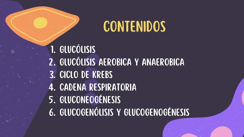 1. GLUCÓLISIS
CONTENIDOS
2. GLUCÓLISIS AEROBICA Y ANAEROBICA
3. CICLO DE KREBS
4. CADENA RESPIRATORIA
5. GLUCONEOGENESIS
6. GLUCOGENÓLISIS Y