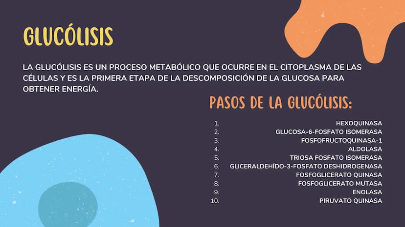 1. GLUCÓLISIS
CONTENIDOS
2. GLUCÓLISIS AEROBICA Y ANAEROBICA
3. CICLO DE KREBS
4. CADENA RESPIRATORIA
5. GLUCONEOGENESIS
6. GLUCOGENÓLISIS Y