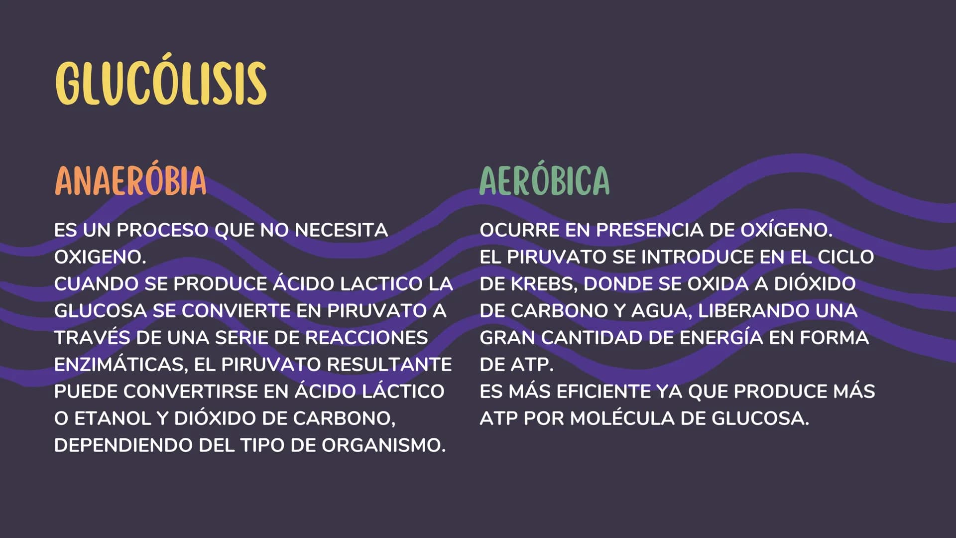 1. GLUCÓLISIS
CONTENIDOS
2. GLUCÓLISIS AEROBICA Y ANAEROBICA
3. CICLO DE KREBS
4. CADENA RESPIRATORIA
5. GLUCONEOGENESIS
6. GLUCOGENÓLISIS Y