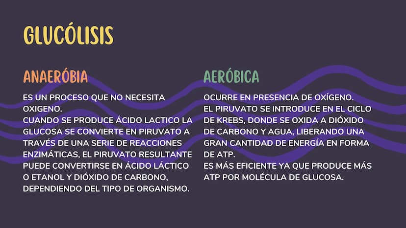 1. GLUCÓLISIS
CONTENIDOS
2. GLUCÓLISIS AEROBICA Y ANAEROBICA
3. CICLO DE KREBS
4. CADENA RESPIRATORIA
5. GLUCONEOGENESIS
6. GLUCOGENÓLISIS Y