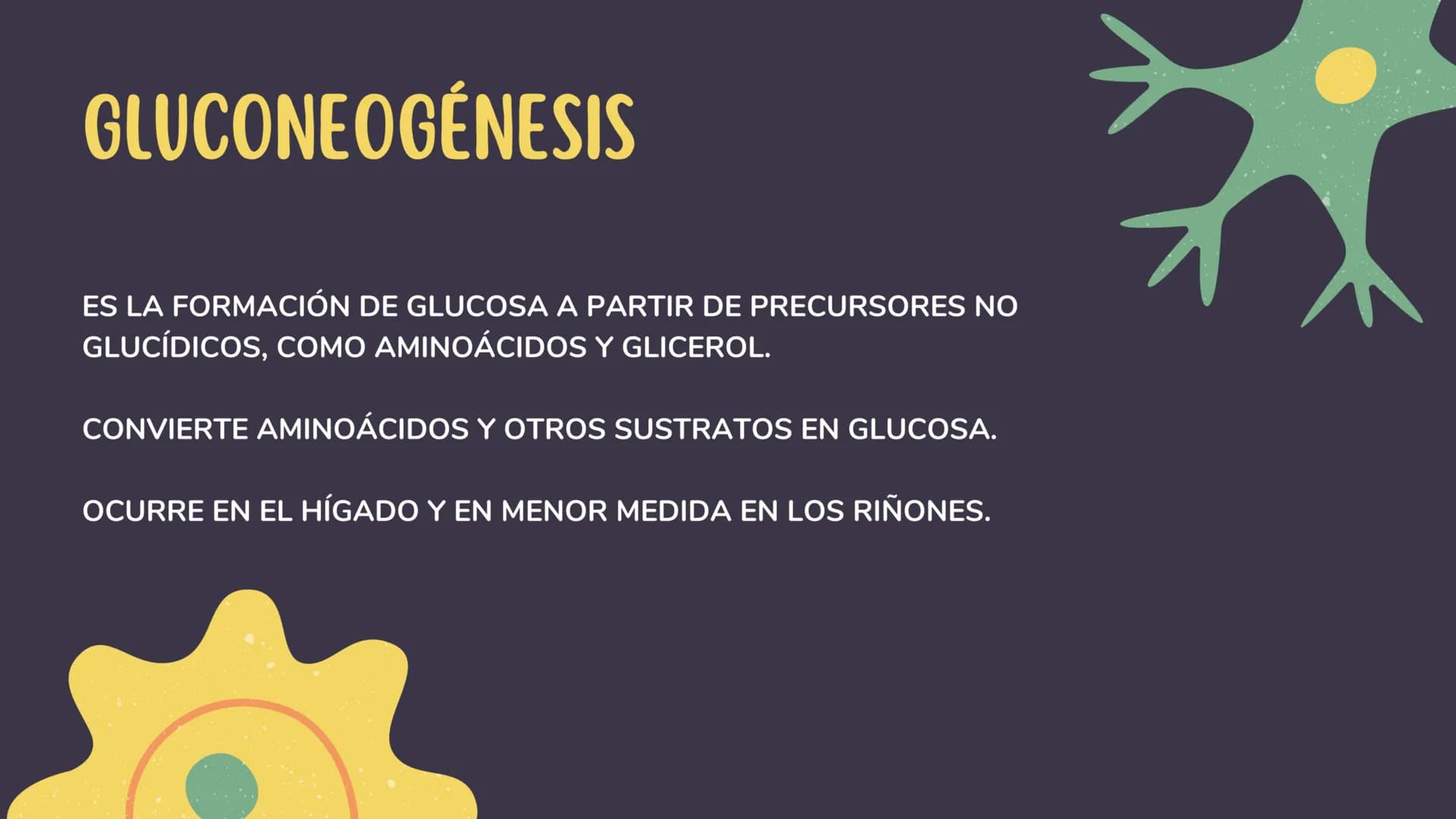 1. GLUCÓLISIS
CONTENIDOS
2. GLUCÓLISIS AEROBICA Y ANAEROBICA
3. CICLO DE KREBS
4. CADENA RESPIRATORIA
5. GLUCONEOGENESIS
6. GLUCOGENÓLISIS Y