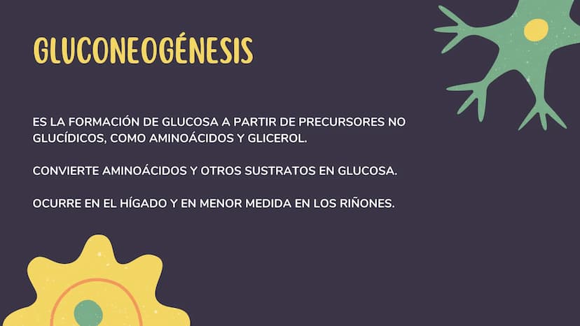 1. GLUCÓLISIS
CONTENIDOS
2. GLUCÓLISIS AEROBICA Y ANAEROBICA
3. CICLO DE KREBS
4. CADENA RESPIRATORIA
5. GLUCONEOGENESIS
6. GLUCOGENÓLISIS Y