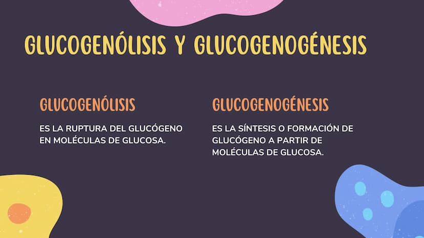 1. GLUCÓLISIS
CONTENIDOS
2. GLUCÓLISIS AEROBICA Y ANAEROBICA
3. CICLO DE KREBS
4. CADENA RESPIRATORIA
5. GLUCONEOGENESIS
6. GLUCOGENÓLISIS Y