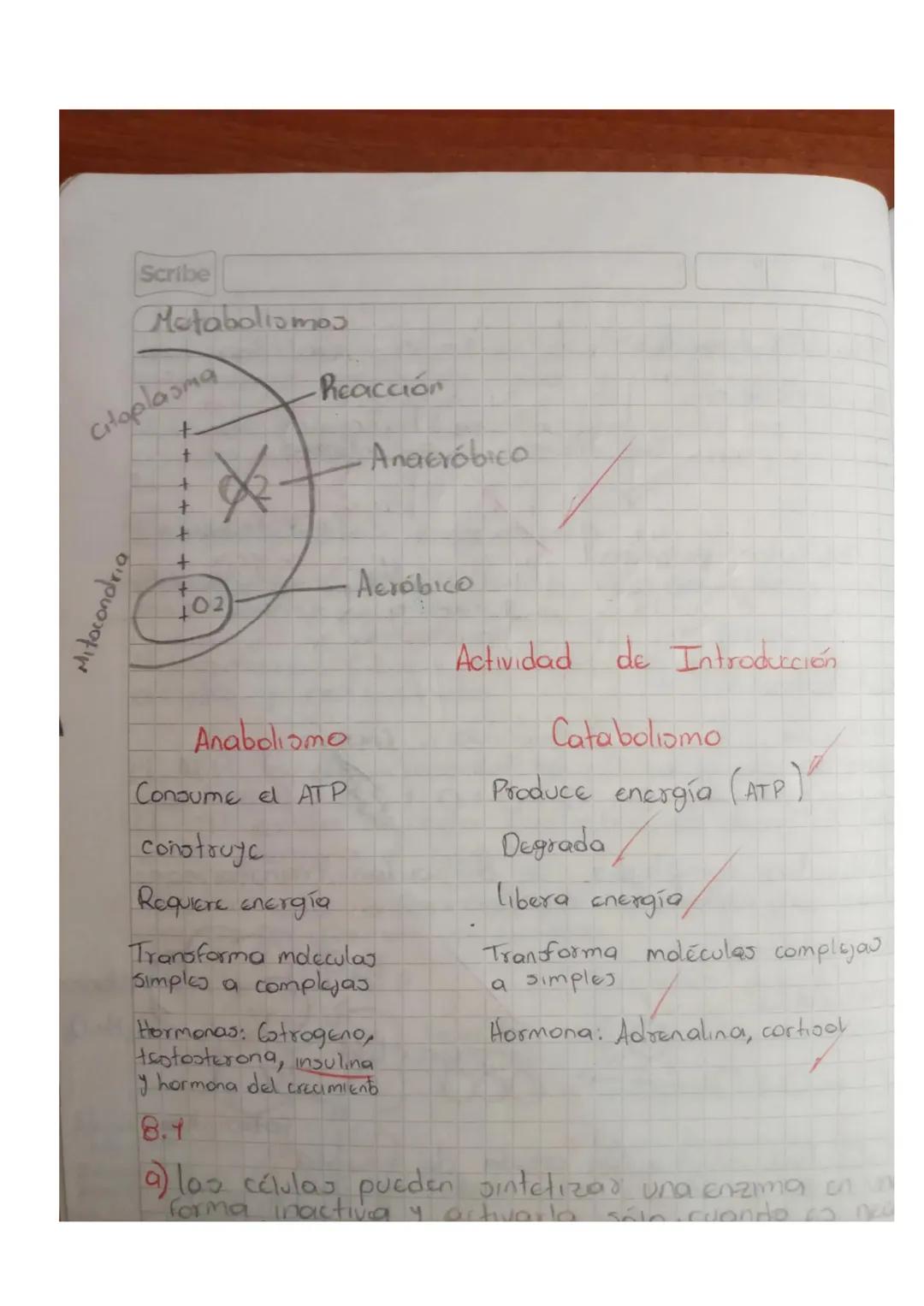 ATP: Adenosin Trifosfato

Descompositor terciario
C10%
res

Carnivoros
Consumidor 10%
secundario

Hervidoroo
Consumidor
Primario
10%
Plantas