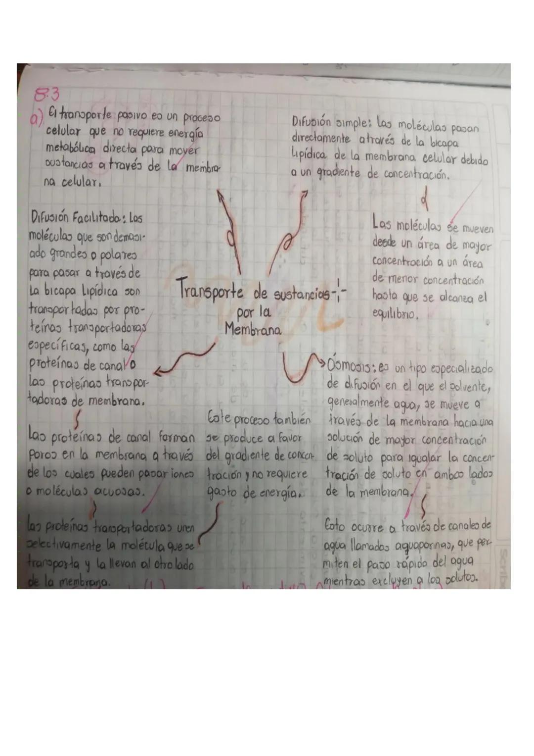 ATP: Adenosin Trifosfato

Descompositor terciario
C10%
res

Carnivoros
Consumidor 10%
secundario

Hervidoroo
Consumidor
Primario
10%
Plantas